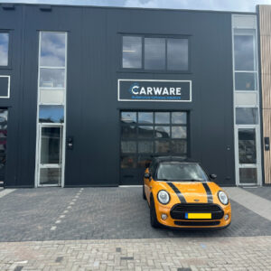 IMG_3315_kenteken_geel Mini software specialist